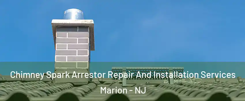 Chimney Spark Arrestor Repair And Installation Services Marion - NJ