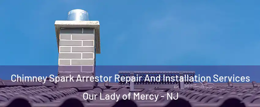 Chimney Spark Arrestor Repair And Installation Services Our Lady of Mercy - NJ