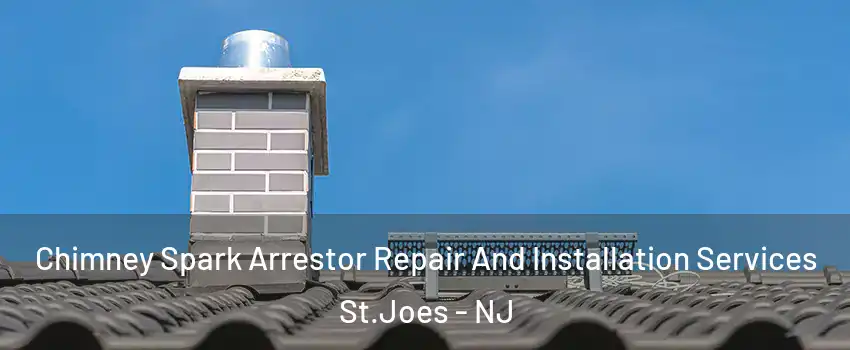 Chimney Spark Arrestor Repair And Installation Services St.Joes - NJ