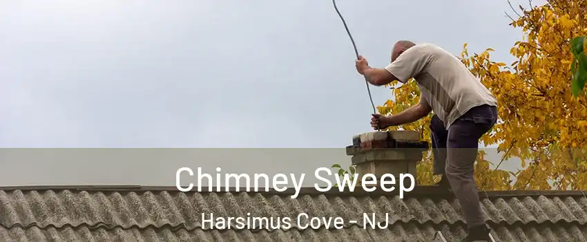 Chimney Sweep Harsimus Cove - NJ