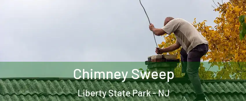 Chimney Sweep Liberty State Park - NJ