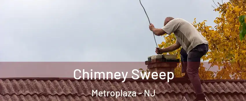 Chimney Sweep Metroplaza - NJ
