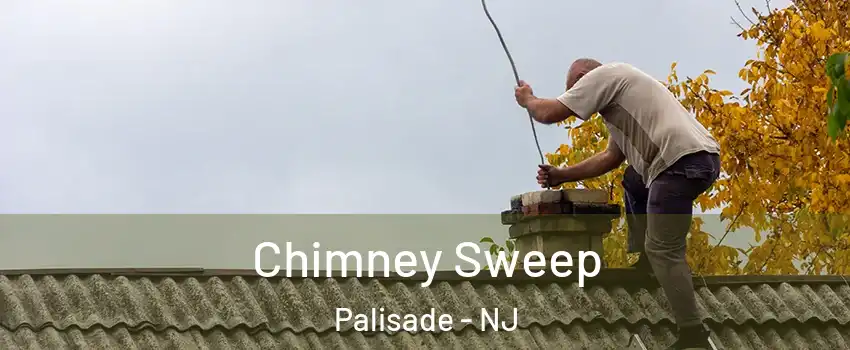 Chimney Sweep Palisade - NJ