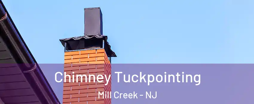Chimney Tuckpointing Mill Creek - NJ