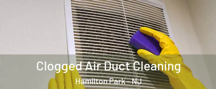 Clogged Air Duct Cleaning Hamilton Park - NJ