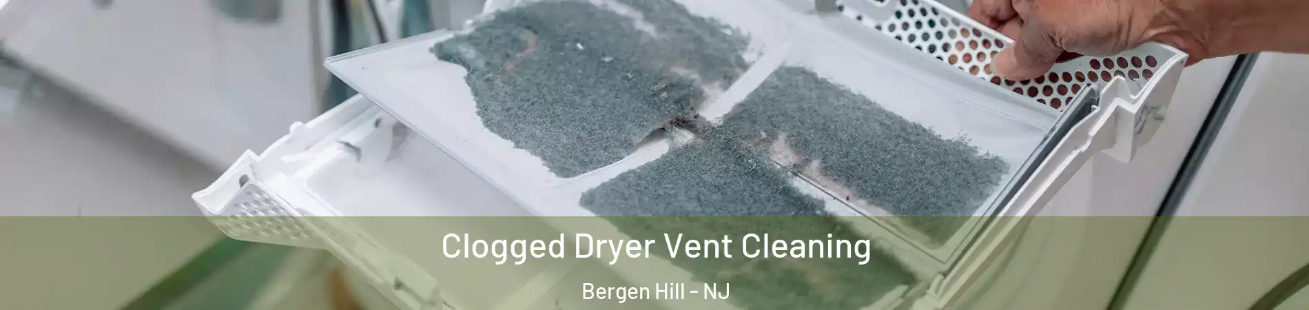 Clogged Dryer Vent Cleaning Bergen Hill - NJ