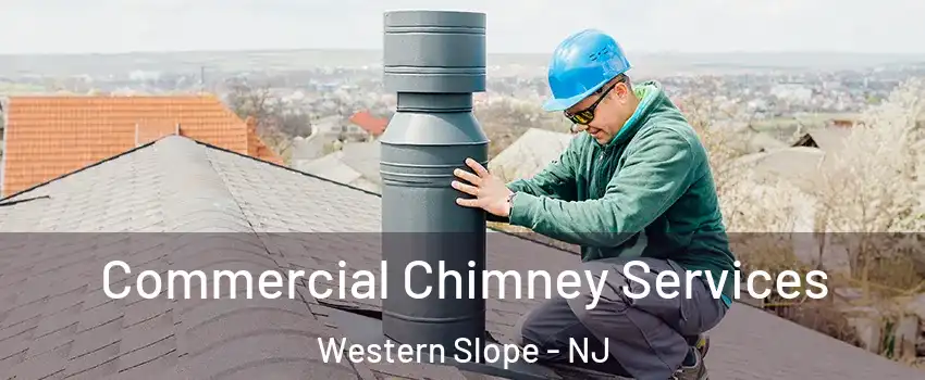 Commercial Chimney Services Western Slope - NJ