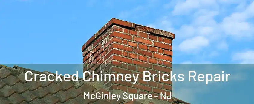 Cracked Chimney Bricks Repair McGinley Square - NJ
