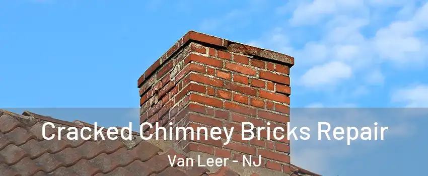 Cracked Chimney Bricks Repair Van Leer - NJ