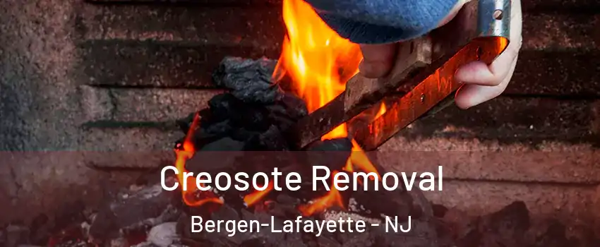 Creosote Removal Bergen-Lafayette - NJ