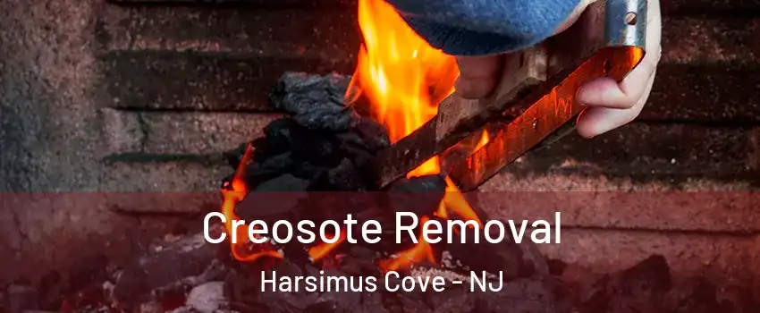 Creosote Removal Harsimus Cove - NJ
