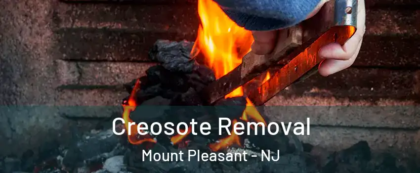 Creosote Removal Mount Pleasant - NJ