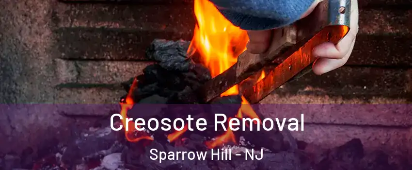 Creosote Removal Sparrow Hill - NJ