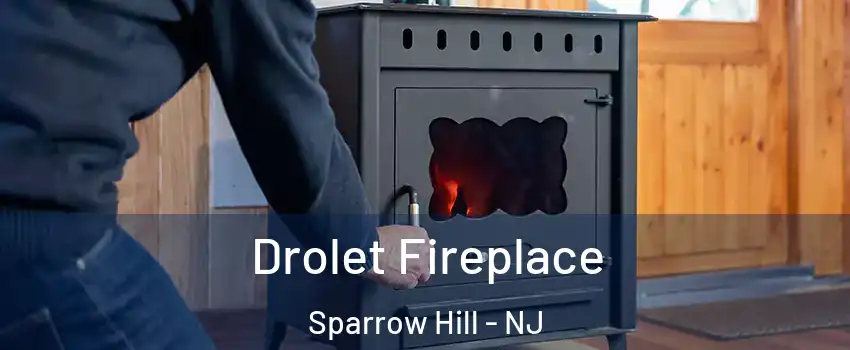 Drolet Fireplace Sparrow Hill - NJ