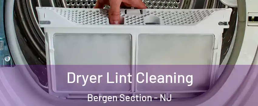 Dryer Lint Cleaning Bergen Section - NJ