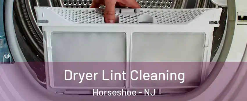 Dryer Lint Cleaning Horseshoe - NJ