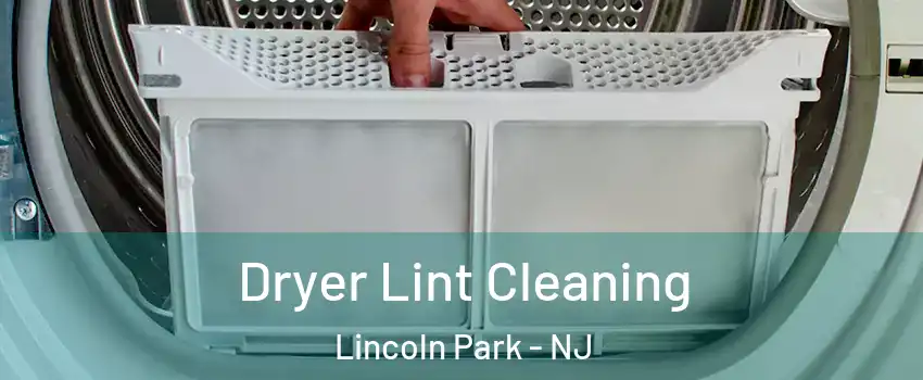Dryer Lint Cleaning Lincoln Park - NJ