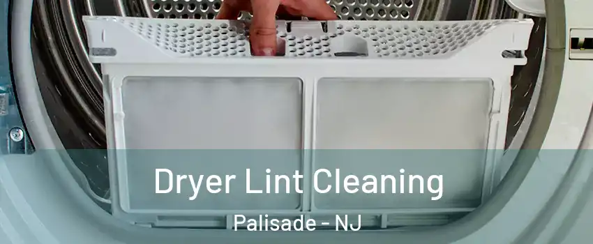 Dryer Lint Cleaning Palisade - NJ