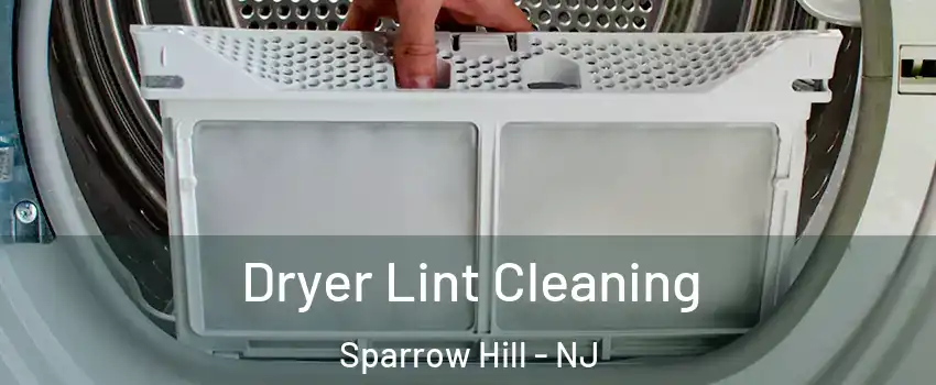 Dryer Lint Cleaning Sparrow Hill - NJ