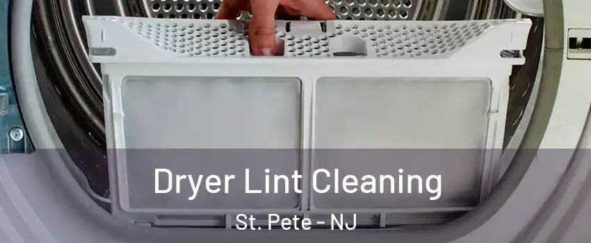Dryer Lint Cleaning St. Pete - NJ