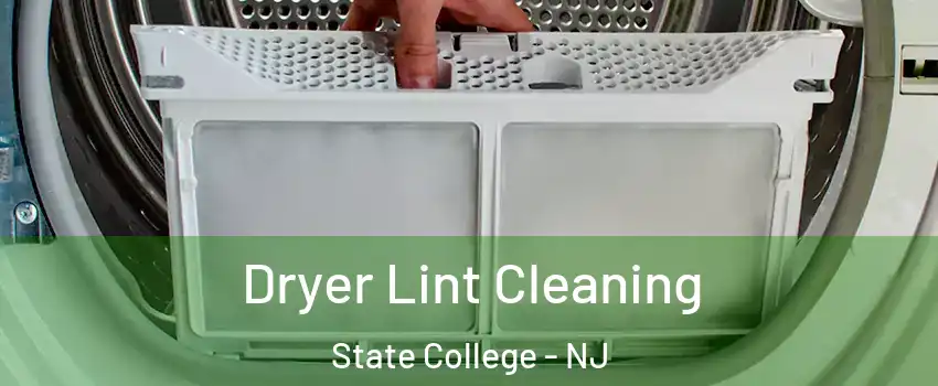 Dryer Lint Cleaning State College - NJ