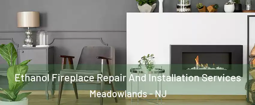 Ethanol Fireplace Repair And Installation Services Meadowlands - NJ