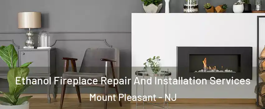Ethanol Fireplace Repair And Installation Services Mount Pleasant - NJ