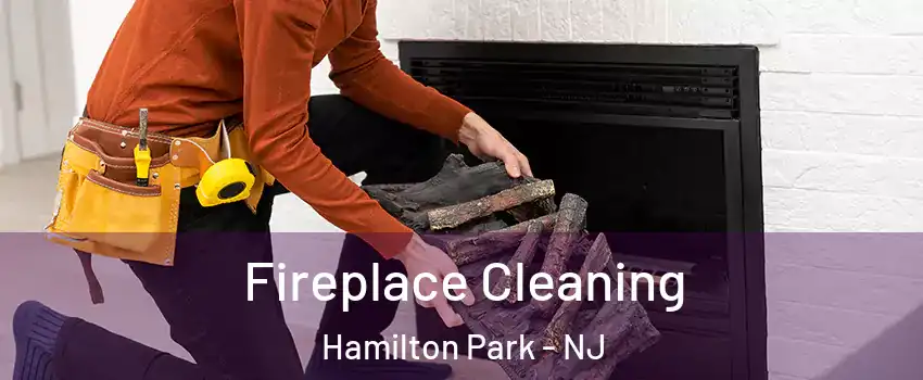 Fireplace Cleaning Hamilton Park - NJ