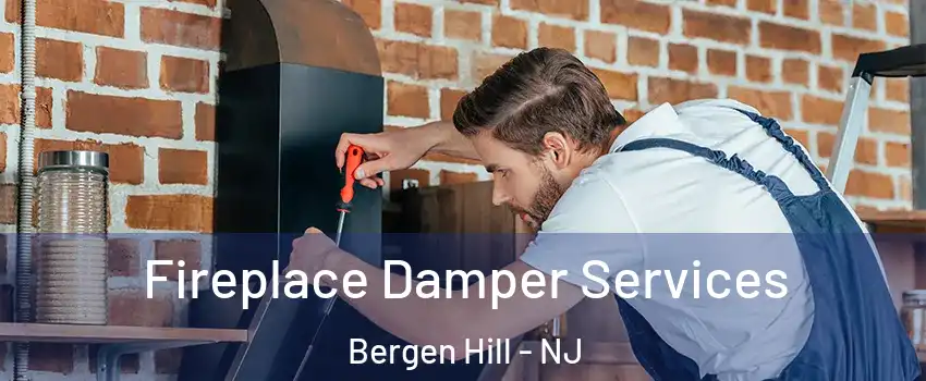 Fireplace Damper Services Bergen Hill - NJ