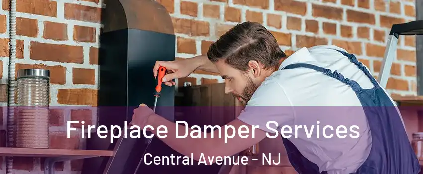 Fireplace Damper Services Central Avenue - NJ