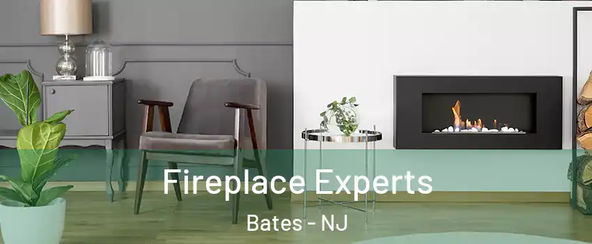 Fireplace Experts Bates - NJ