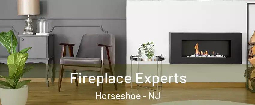 Fireplace Experts Horseshoe - NJ