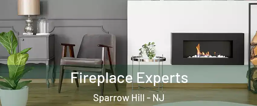Fireplace Experts Sparrow Hill - NJ
