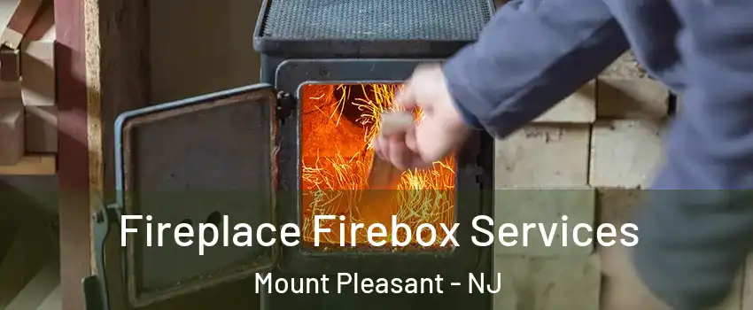 Fireplace Firebox Services Mount Pleasant - NJ
