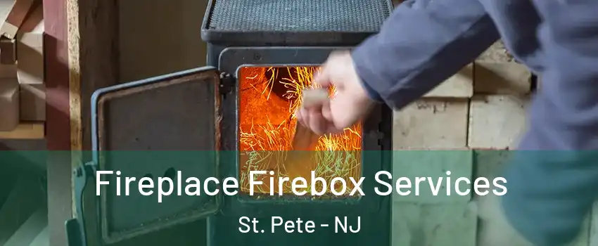 Fireplace Firebox Services St. Pete - NJ