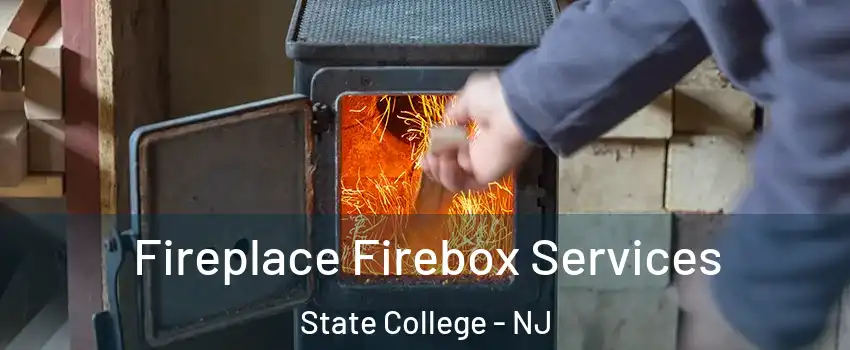Fireplace Firebox Services State College - NJ