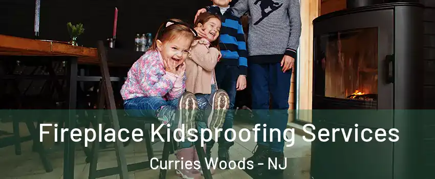 Fireplace Kidsproofing Services Curries Woods - NJ