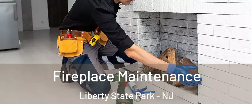 Fireplace Maintenance Liberty State Park - NJ