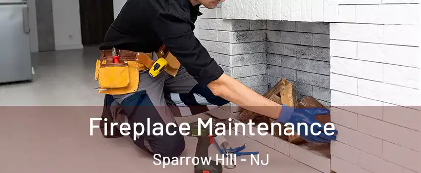 Fireplace Maintenance Sparrow Hill - NJ