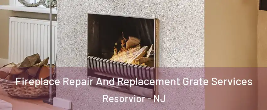 Fireplace Repair And Replacement Grate Services Resorvior - NJ