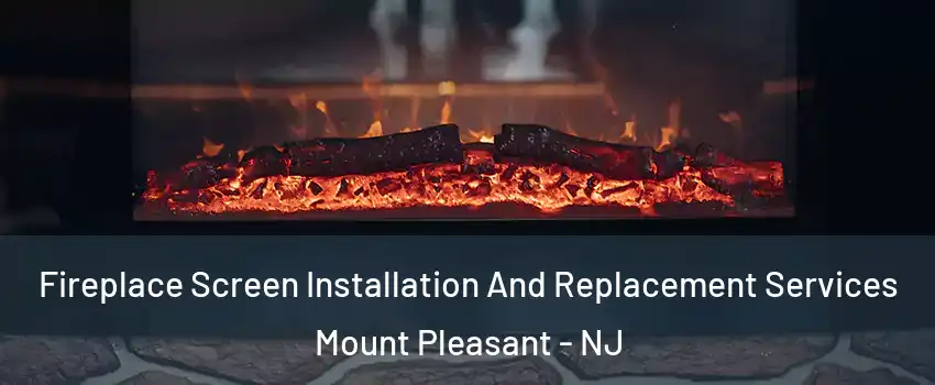 Fireplace Screen Installation And Replacement Services Mount Pleasant - NJ