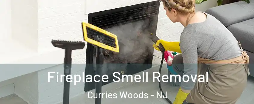 Fireplace Smell Removal Curries Woods - NJ