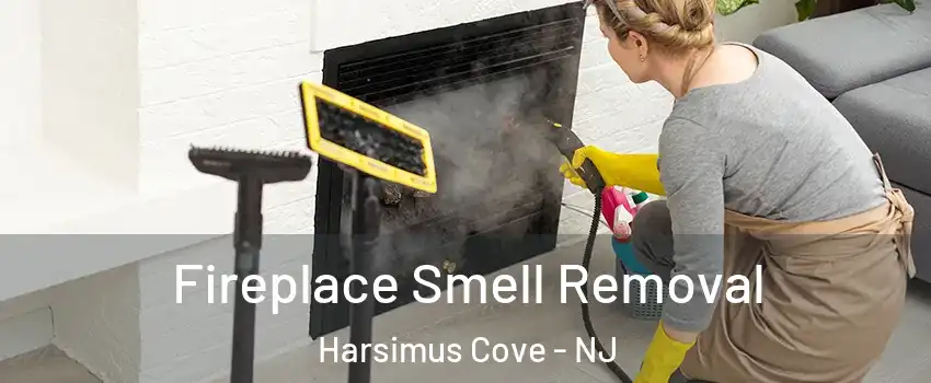 Fireplace Smell Removal Harsimus Cove - NJ