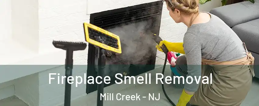 Fireplace Smell Removal Mill Creek - NJ