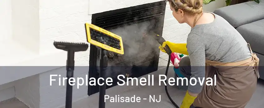 Fireplace Smell Removal Palisade - NJ