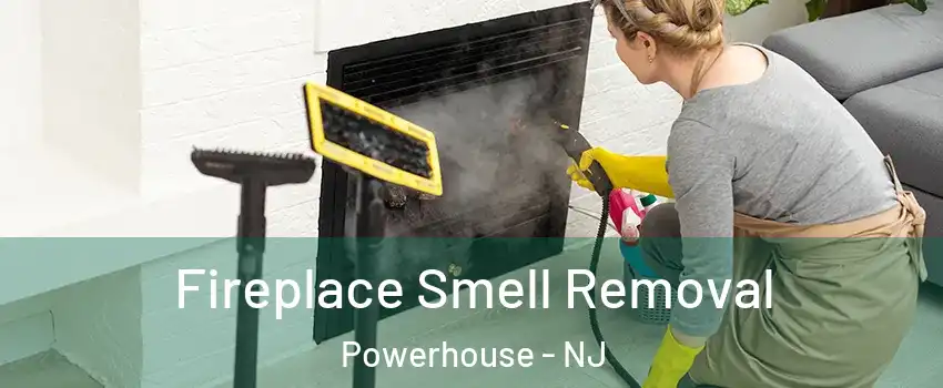 Fireplace Smell Removal Powerhouse - NJ