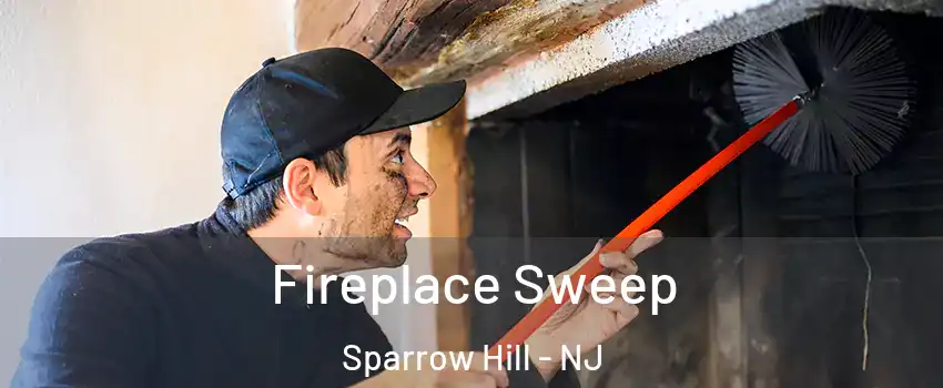 Fireplace Sweep Sparrow Hill - NJ