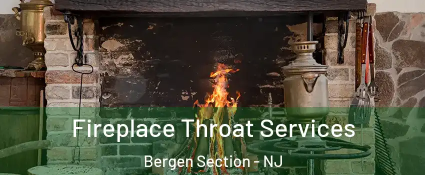 Fireplace Throat Services Bergen Section - NJ