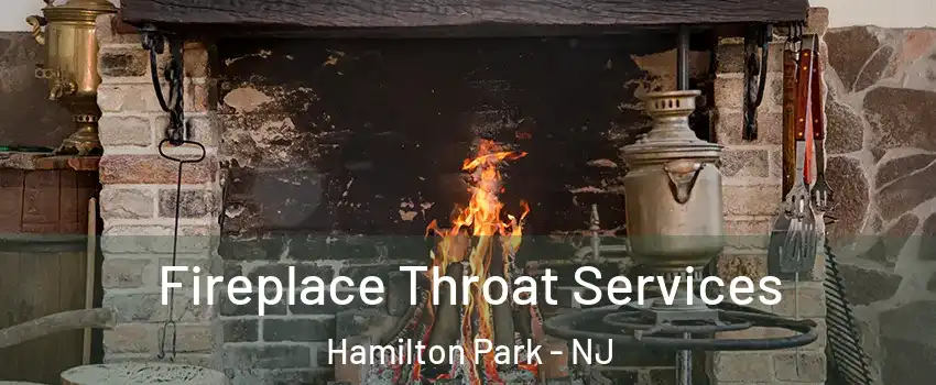 Fireplace Throat Services Hamilton Park - NJ
