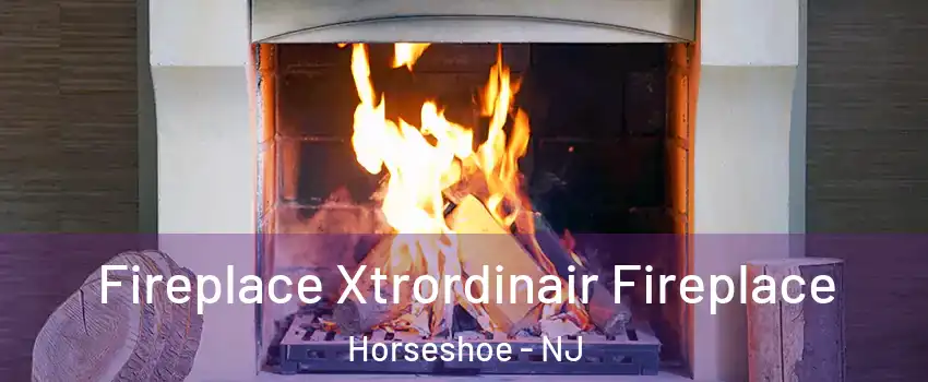 Fireplace Xtrordinair Fireplace Horseshoe - NJ
